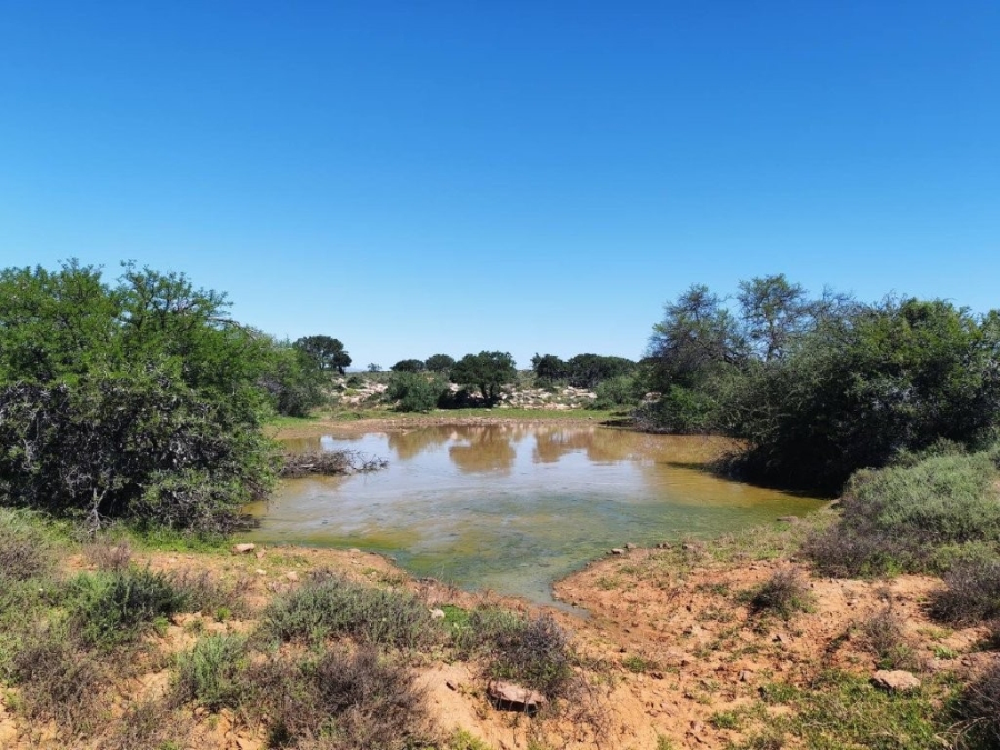 5 Bedroom Property for Sale in Steytlerville Eastern Cape